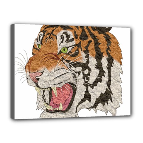 Tiger Tiger Png Lion Animal Canvas 16  X 12 
