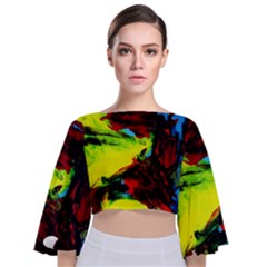 Perfect Night  For Samurai 1 Tie Back Butterfly Sleeve Chiffon Top by bestdesignintheworld