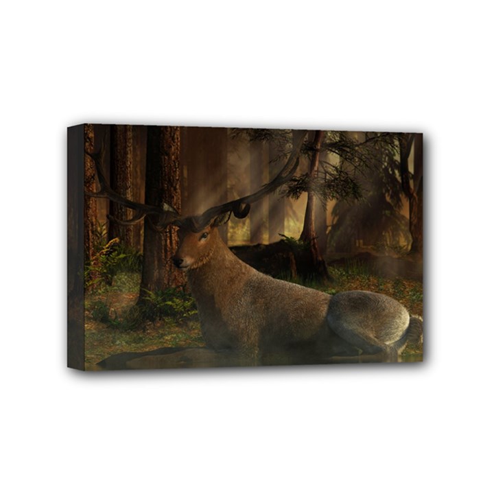 Mammal Nature Wood Tree Waters Mini Canvas 6  x 4 