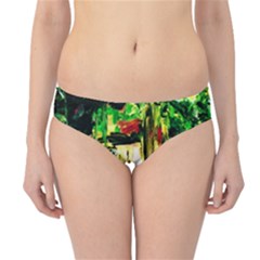 Old Tree And House With An Arch 4 Hipster Bikini Bottoms by bestdesignintheworld