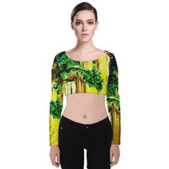 Old Tree And House With An Arch 2 Velvet Crop Top by bestdesignintheworld