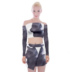 Grey Wolf  Off Shoulder Top With Mini Skirt Set by StarvingArtisan