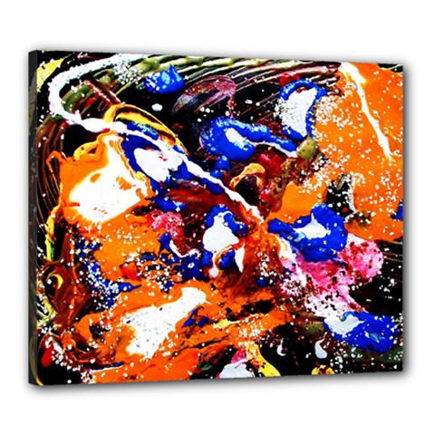 Smashed Butterfly Canvas 24  X 20 