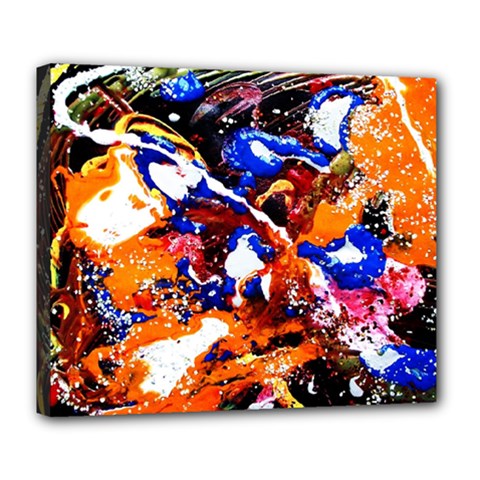 Smashed Butterfly Deluxe Canvas 24  X 20  