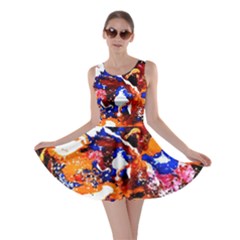 Smashed Butterfly Skater Dress