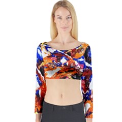 Smashed Butterfly Long Sleeve Crop Top