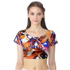 Smashed Butterfly Short Sleeve Crop Top