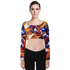 Smashed Butterfly Velvet Crop Top