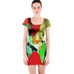 Humidity 4 Short Sleeve Bodycon Dress