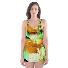 Humidity 4 Skater Dress Swimsuit