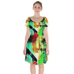 Humidity 4 Short Sleeve Bardot Dress