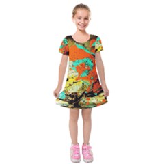 Fragrance Of Kenia 9 Kids  Short Sleeve Velvet Dress by bestdesignintheworld