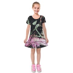 Foundation Of Grammer 1 Kids  Short Sleeve Velvet Dress by bestdesignintheworld