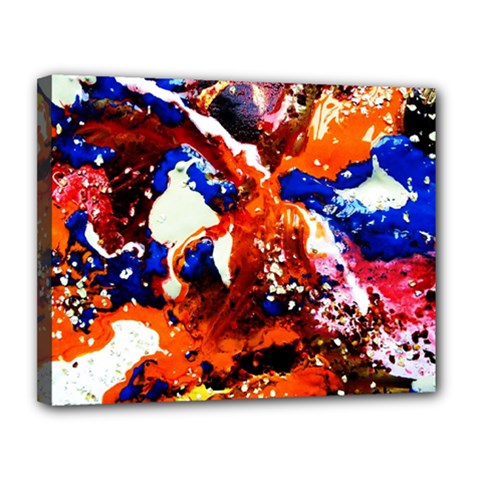 Smashed Butterfly 1 Canvas 14  X 11 