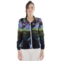 Hot Day In Dallas 32 Windbreaker (women) by bestdesignintheworld