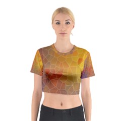Colors Modern Contemporary Graphic Cotton Crop Top
