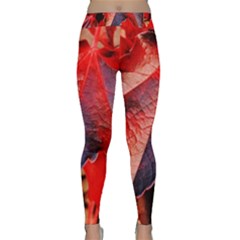 Wine Partner Wild Vine Leaves Plant Classic Yoga Leggings