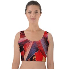 Wine Partner Wild Vine Leaves Plant Velvet Crop Top by Sapixe