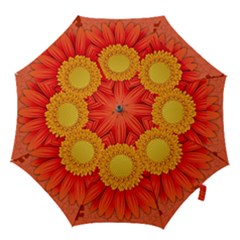 Flower Plant Petal Summer Color Hook Handle Umbrellas (small) by Sapixe