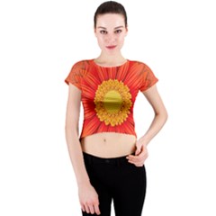 Flower Plant Petal Summer Color Crew Neck Crop Top by Sapixe