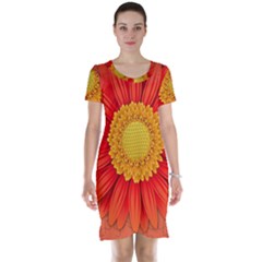 Flower Plant Petal Summer Color Short Sleeve Nightdress by Sapixe