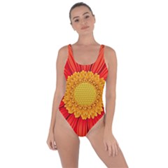 Flower Plant Petal Summer Color Bring Sexy Back Swimsuit