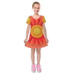 Flower Plant Petal Summer Color Kids  Short Sleeve Velvet Dress