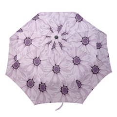 Background Desktop Flowers Lilac Folding Umbrellas by Sapixe