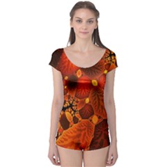 Leaf Autumn Nature Background Boyleg Leotard 