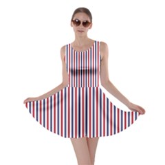 Usa Flag Red And Flag Blue Narrow Thin Stripes  Skater Dress by PodArtist