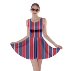 Large Red White And Blue Usa Memorial Day Holiday Pinstripe Skater Dress by PodArtist