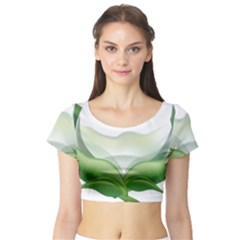 Pearl Drop Flower Plant Short Sleeve Crop Top by Sapixe