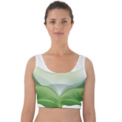 Pearl Drop Flower Plant Velvet Crop Top by Sapixe