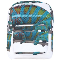 Reptile Lizard Animal Isolated Full Print Backpack by Sapixe