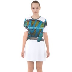 Reptile Lizard Animal Isolated Sixties Short Sleeve Mini Dress by Sapixe