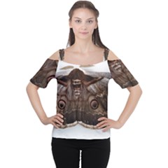 Night Butterfly Butterfly Giant Cutout Shoulder Tee