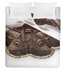 Night Butterfly Butterfly Giant Duvet Cover Double Side (queen Size) by Sapixe