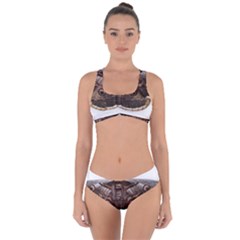 Night Butterfly Butterfly Giant Criss Cross Bikini Set