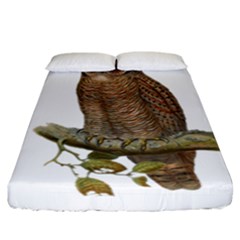 Bird Owl Animal Vintage Isolated Fitted Sheet (california King Size)