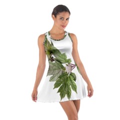 Leaves Plant Branch Nature Foliage Cotton Racerback Dress