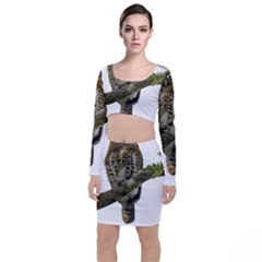 Owl Bird Long Sleeve Crop Top & Bodycon Skirt Set