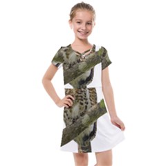 Owl Bird Kids  Cross Web Dress