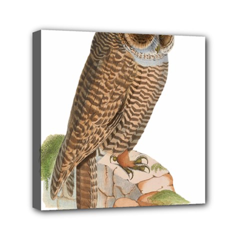 Bird Owl Animal Vintage Isolated Mini Canvas 6  X 6 