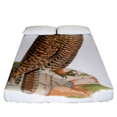 Bird Owl Animal Vintage Isolated Fitted Sheet (queen Size) by Sapixe