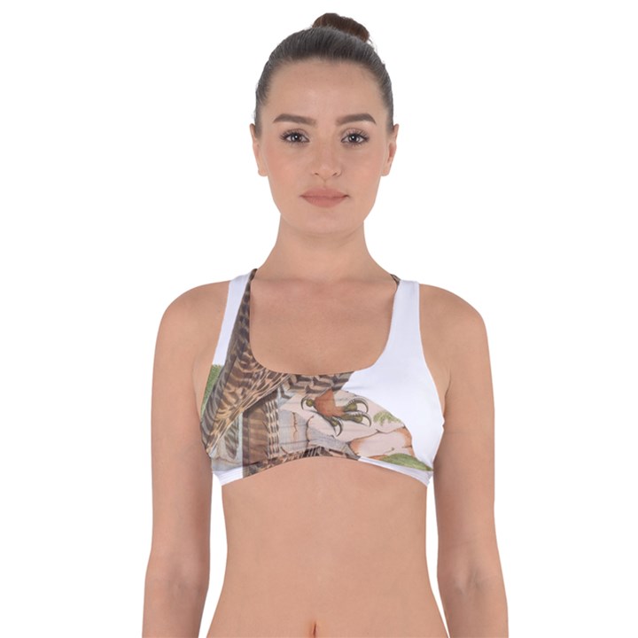 Bird Owl Animal Vintage Isolated Got No Strings Sports Bra