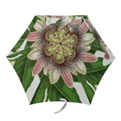 Passion Flower Flower Plant Blossom Mini Folding Umbrellas