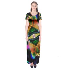 Butterfly Color Pop Art Short Sleeve Maxi Dress