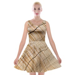 Abstract Brown Tree Timber Pattern Velvet Skater Dress