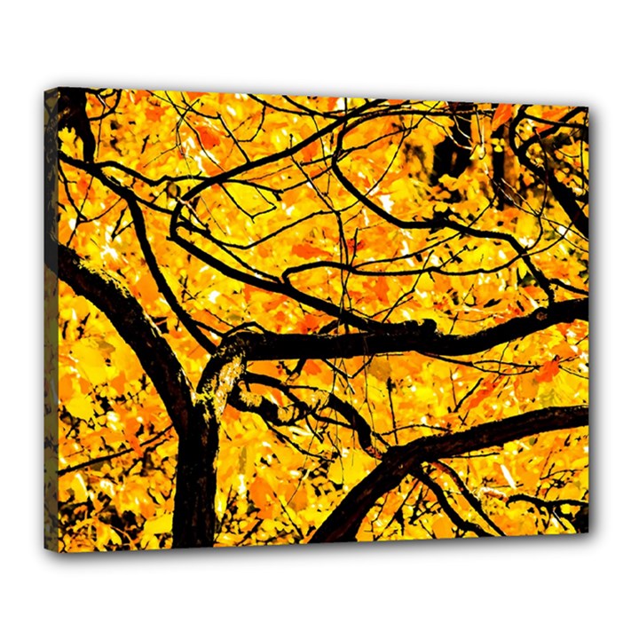 Golden Vein Canvas 20  x 16 