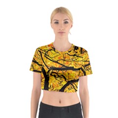 Golden Vein Cotton Crop Top by FunnyCow